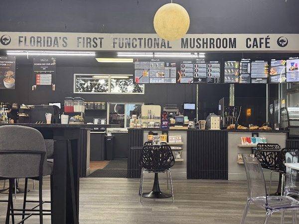 Eclipse Cafe